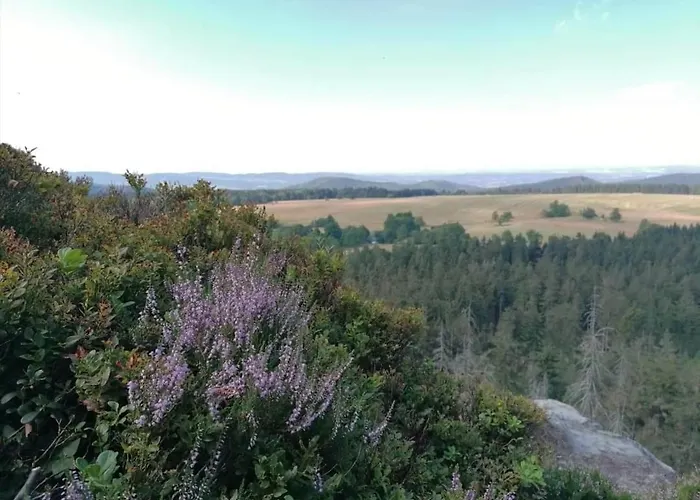 Stara Kuznia Homestay *