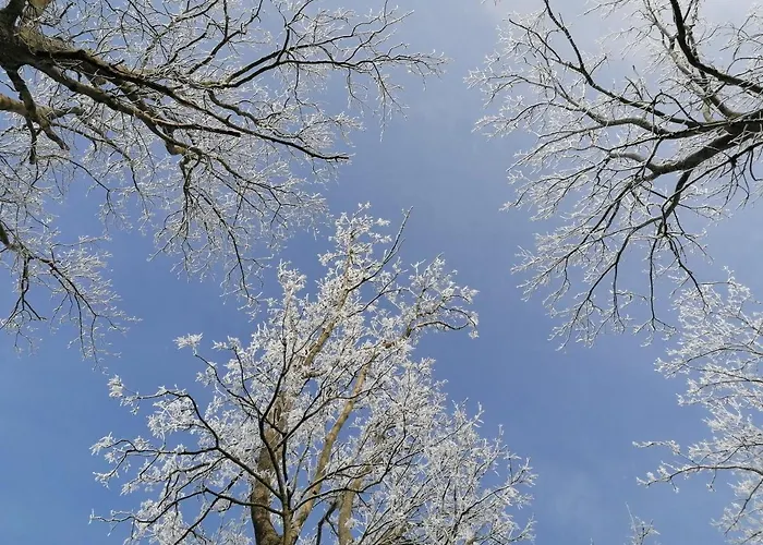 Stara Kuznia Privatunterkunft