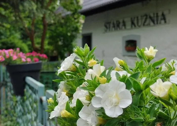 Stara Kuznia * Duszniki Zdroj