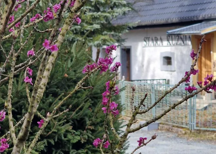 Stara Kuznia